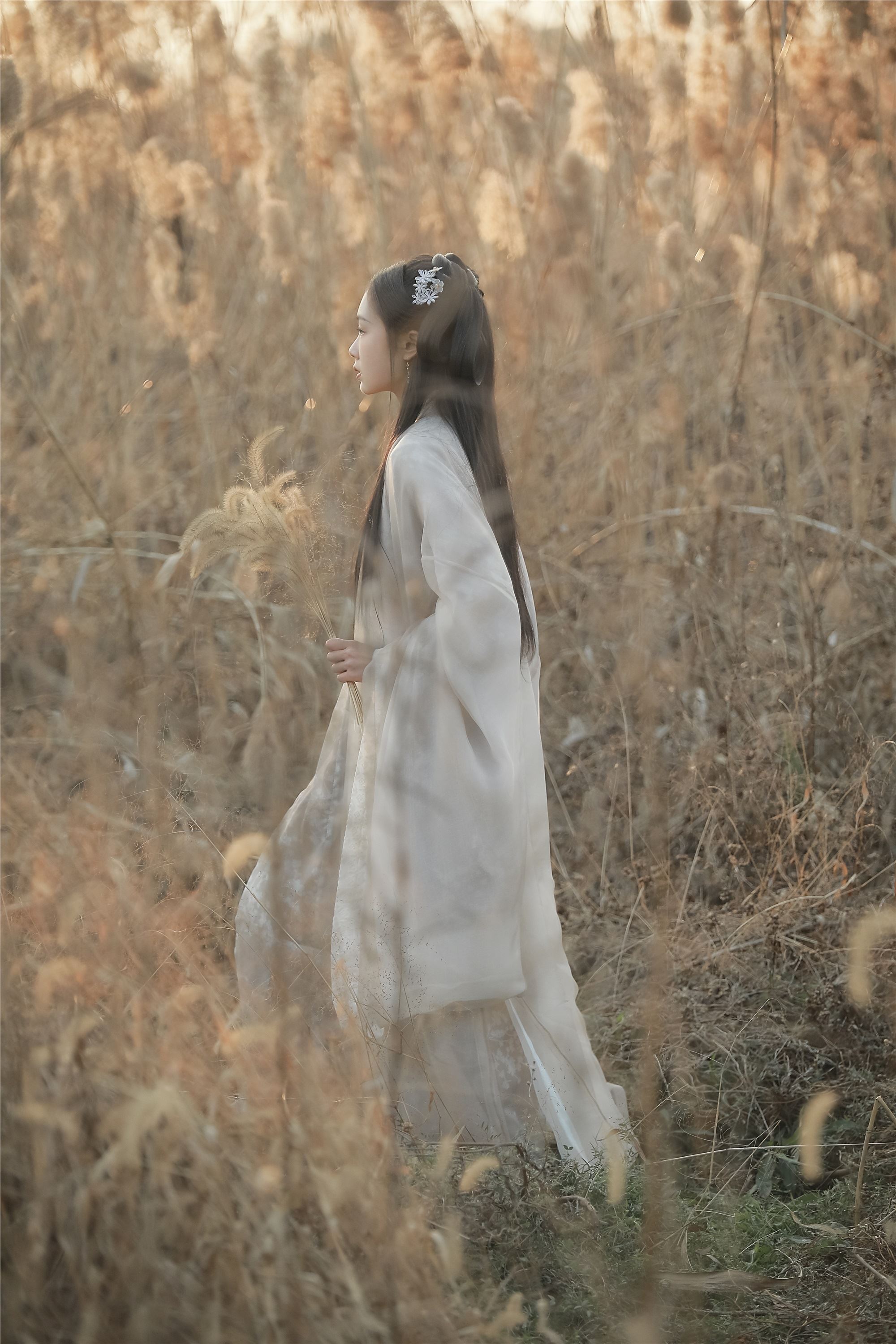 YITUYU艺图语 2025.01.28 叹秋 溱溱